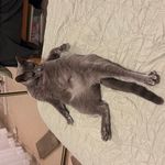 IMG_4470.jpeg