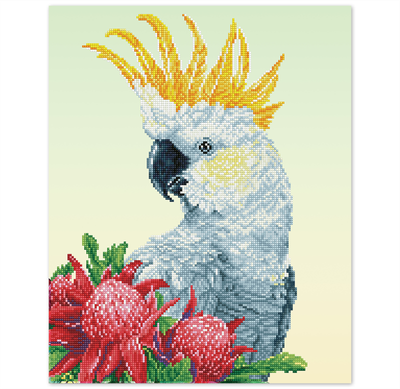 galah.png