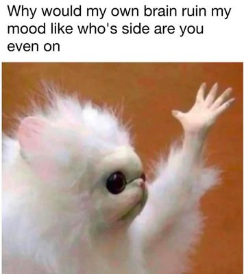 1000043084.jpg