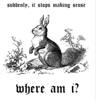 513807434_1918284842423959_5082560132539350463_n.jpg