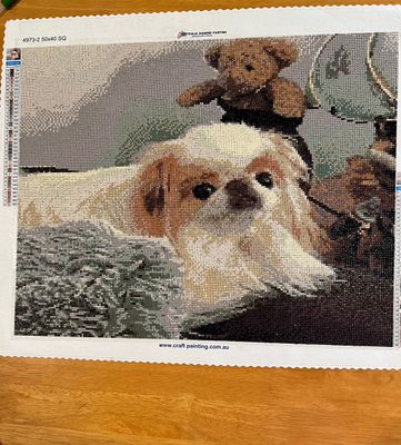 IMG_5170.jpeg