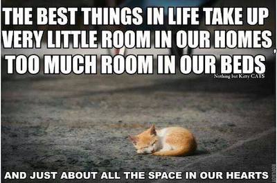 best things.jpg