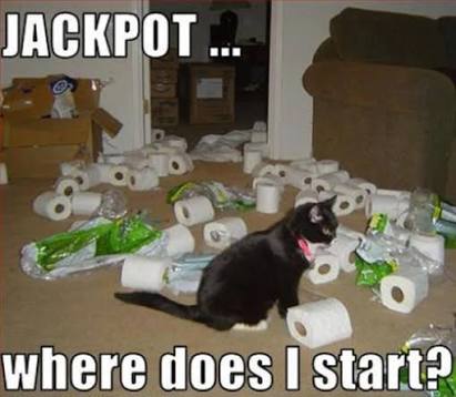 images (21).jpeg